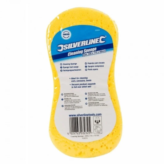 Silverline Sponge